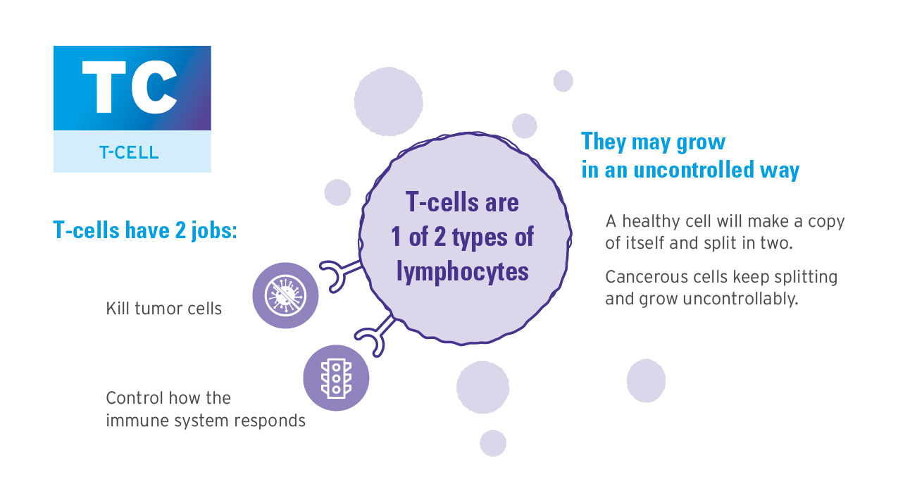 What Causes CTCL Skin Symptoms Website Images 2
